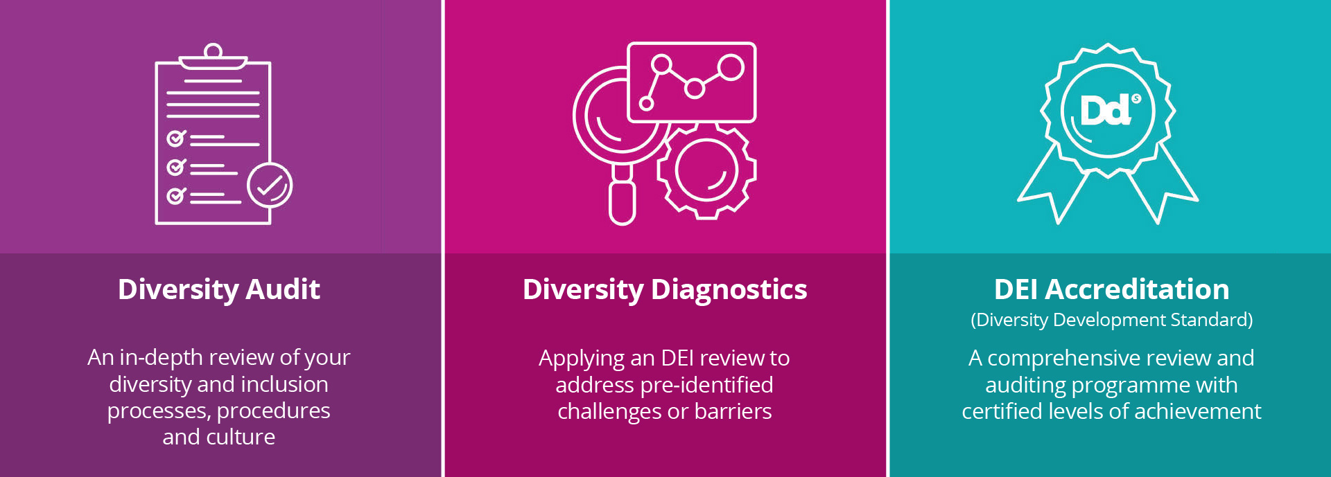 Colourful graphic to sum up difference between audit, diagnostic or accreditation - see wording at foot pf page